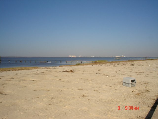 mississippi025.jpg