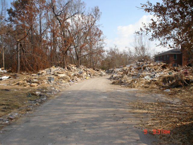 mississippi110.jpg