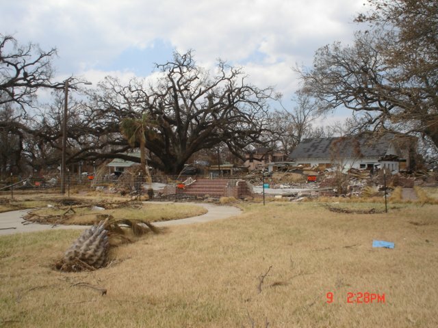 mississippi141.jpg